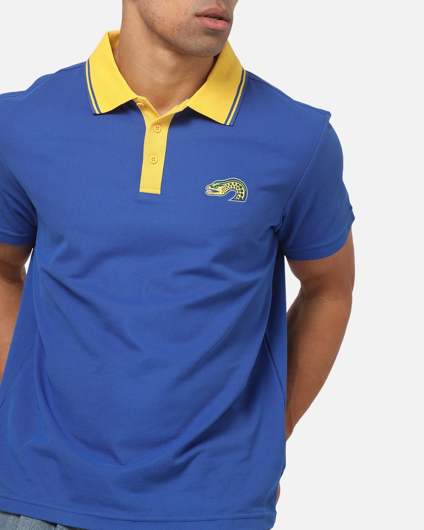Bleacher Athletic Parramatta Eels NRL Adult Golf Polo T-Shirt Blue