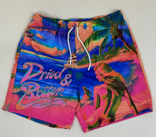 DRY ROT THE VIEW MESH SHORTS