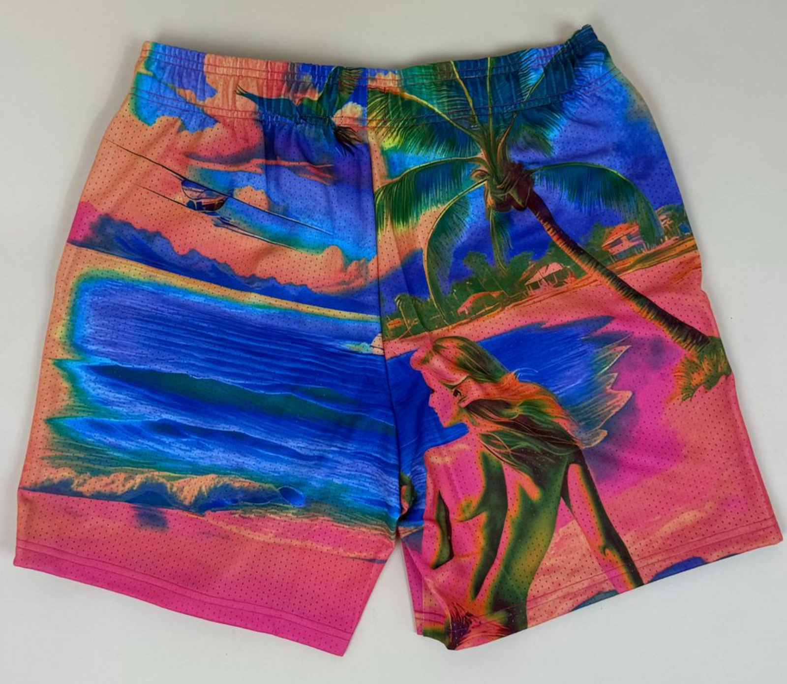 DRY ROT THE VIEW MESH SHORTS